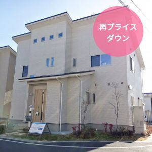 栗東市　林ニュータウン